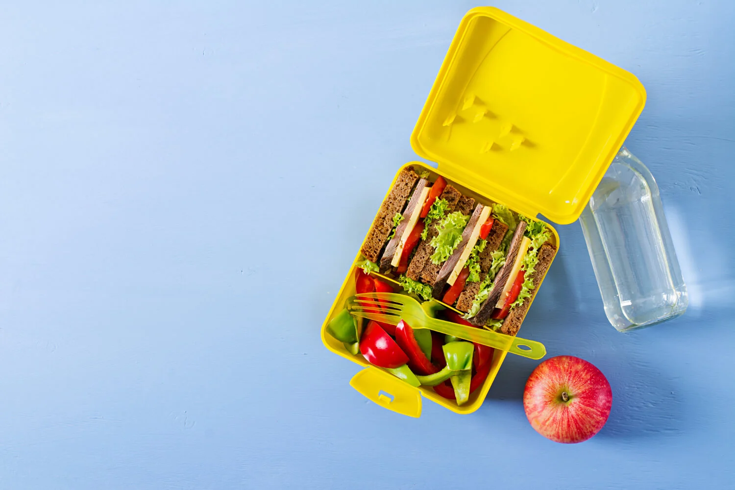 Kids Lunch Ideas for School