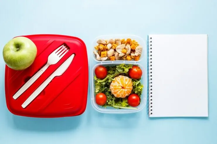 Kids Lunch Ideas for School